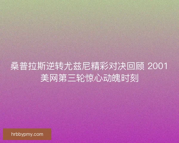 桑普拉斯逆转尤兹尼精彩对决回顾 2001美网第三轮惊心动魄时刻